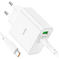 Hoco C113A Awesome Dual Port 65W Charger With Type C Cable