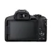 Rear view of Canon EOS R50 Mirrorless Camera showing LCD screen, viewfinder, and control buttons.