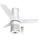 Havells STEALTH PURO AIR 60" Decorative Silent Ceiling Fan With Light and Remote