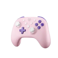 Aolion AL-NS2288PRO-PI Wireless Gaming Controller