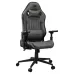Cougar Explore Jet Gray F Gaming Chair