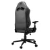 Cougar Explore Jet Gray F Gaming Chair