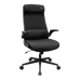 Cougar Stryder Gaming Chair Black