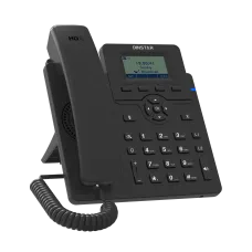 DINSTAR C60S IP Phone with Adapter