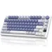 Royal Kludge RK M75 RGB Tri-Mode Hot-Swappable Mechanical Keyboard