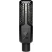 Lewitt RAY Large-Diaphragm Condenser Microphone
