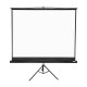 Apollo 96"x96" Tripod Projection Screen