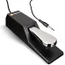 M-Audio SP-2 Professional Piano Style Pedal