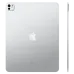 Apple iPad Pro 11 inch M4 Chip Ultra Retina XDR OLED Wi-Fi + Cellular 1TB Silver 2024 (MVW63)