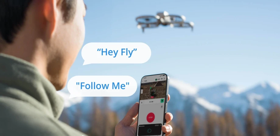 Main targeted keyword